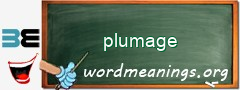 WordMeaning blackboard for plumage